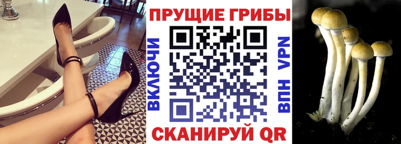 Галлюциногенные грибы MAGIC MUSHROOMS  Пласт 